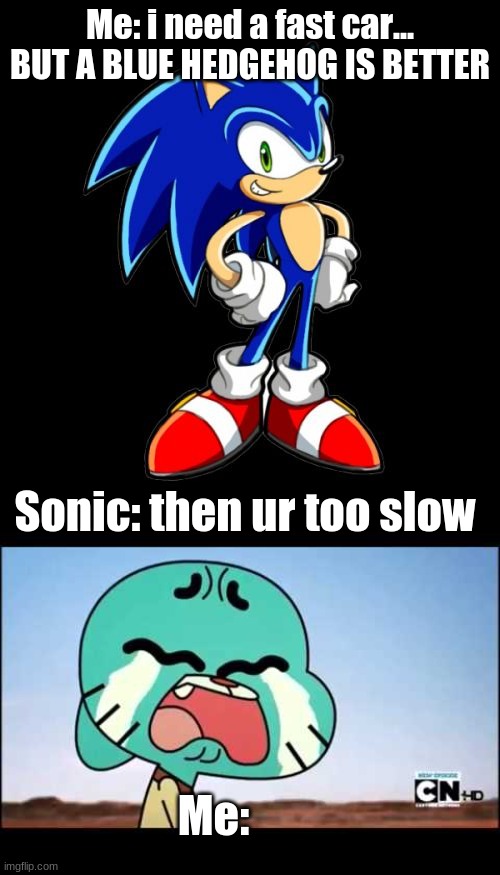 O_O | Me: i need a fast car... BUT A BLUE HEDGEHOG IS BETTER; Sonic: then ur too slow; Me: | image tagged in memes,you're too slow sonic | made w/ Imgflip meme maker