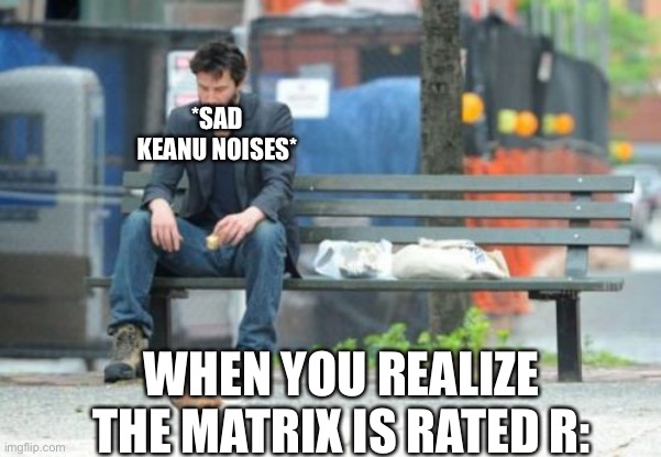 Sad Keanu Meme | *SAD KEANU NOISES*; WHEN YOU REALIZE THE MATRIX IS RATED R: | image tagged in memes,sad keanu,keanu,funny,not gif,fun | made w/ Imgflip meme maker