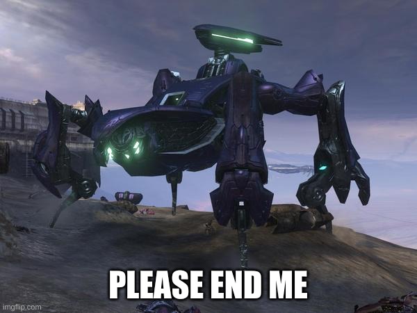 Scarab | PLEASE END ME | image tagged in scarab | made w/ Imgflip meme maker