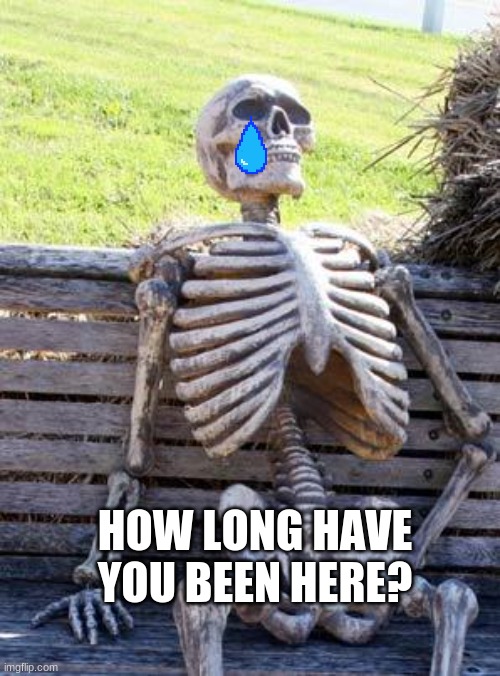 Waiting Skeleton | HOW LONG HAVE YOU BEEN HERE? | image tagged in memes,waiting skeleton | made w/ Imgflip meme maker