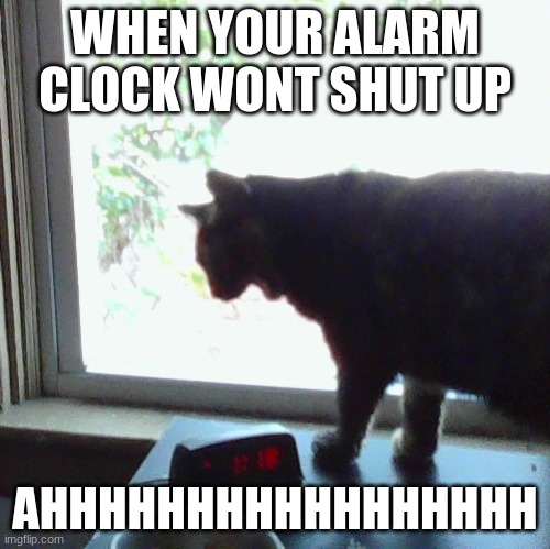 no alarm clock | WHEN YOUR ALARM CLOCK WONT SHUT UP; AHHHHHHHHHHHHHHHHH | image tagged in memes | made w/ Imgflip meme maker