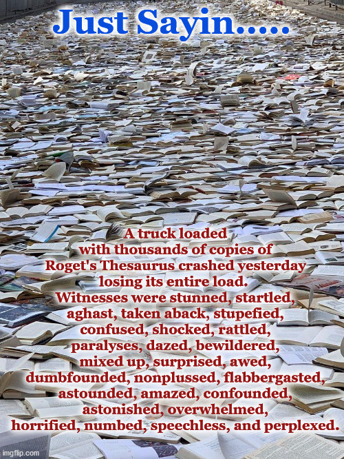 books | A truck loaded with thousands of copies of Roget's Thesaurus crashed yesterday losing its entire load.  Witnesses were stunned, startled, aghast, taken aback, stupefied, confused, shocked, rattled, paralyses, dazed, bewildered, mixed up, surprised, awed, dumbfounded, nonplussed, flabbergasted, astounded, amazed, confounded, astonished, overwhelmed, horrified, numbed, speechless, and perplexed. Just Sayin..... | image tagged in books | made w/ Imgflip meme maker