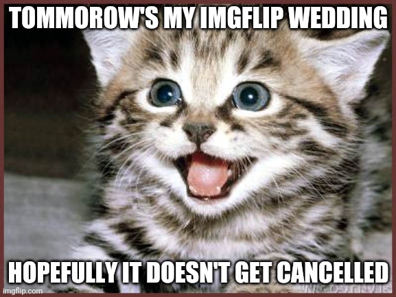 Although I Still Didn't Get A Wedding Officiator | TOMMOROW'S MY IMGFLIP WEDDING; HOPEFULLY IT DOESN'T GET CANCELLED | image tagged in happy kitty | made w/ Imgflip meme maker