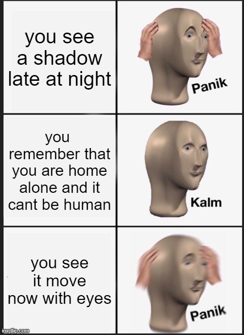 Panik Kalm Panik | you see a shadow late at night; you  remember that you are home alone and it cant be human; you see it move now with eyes | image tagged in memes,panik kalm panik | made w/ Imgflip meme maker