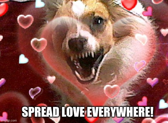Dog love |  SPREAD LOVE EVERYWHERE! | image tagged in love | made w/ Imgflip meme maker
