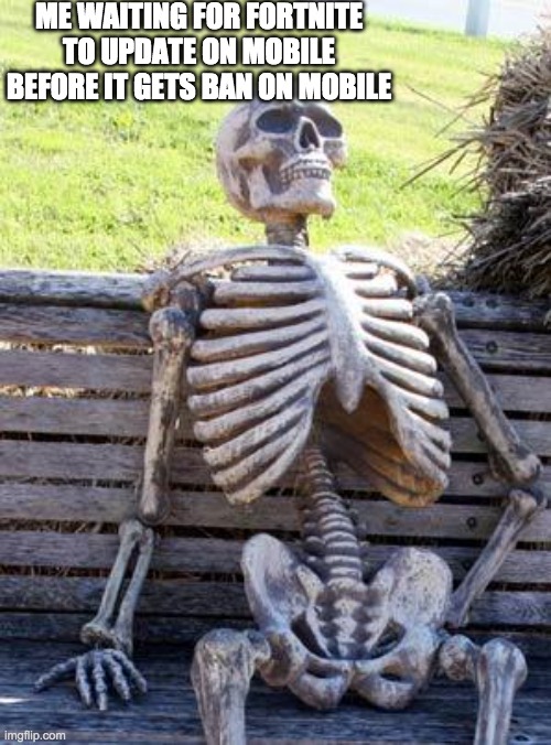 so true | ME WAITING FOR FORTNITE TO UPDATE ON MOBILE BEFORE IT GETS BAN ON MOBILE | image tagged in memes,waiting skeleton | made w/ Imgflip meme maker