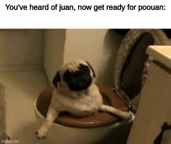 terrible i know | You've heard of juan, now get ready for poouan: | image tagged in meme | made w/ Imgflip meme maker