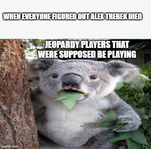 Rest in Peace Alex Trebek | WHEN EVERYONE FIGURED OUT ALEX TREBEK DIED; JEOPARDY PLAYERS THAT WERE SUPPOSED BE PLAYING | image tagged in surprised koala | made w/ Imgflip meme maker