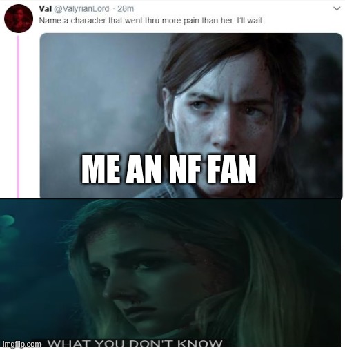 ME AN NF FAN | made w/ Imgflip meme maker