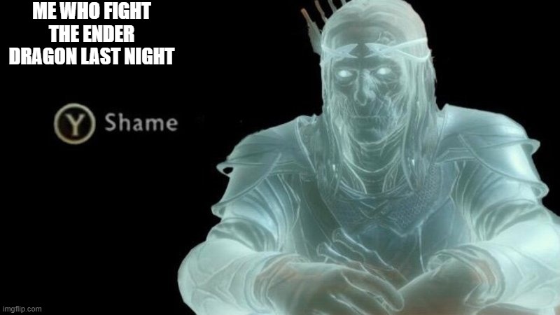 ME WHO FIGHT THE ENDER DRAGON LAST NIGHT | made w/ Imgflip meme maker