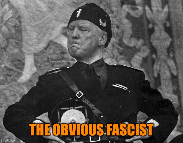 Fascist Trump | THE OBVIOUS FASCIST | image tagged in fascist trump | made w/ Imgflip meme maker