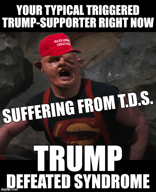 A new form of TDS is spreading faster than COVID | image tagged in tds,bds,biden derangement syndrome,sloth trump,sloth maga,sloth trump supporters | made w/ Imgflip meme maker