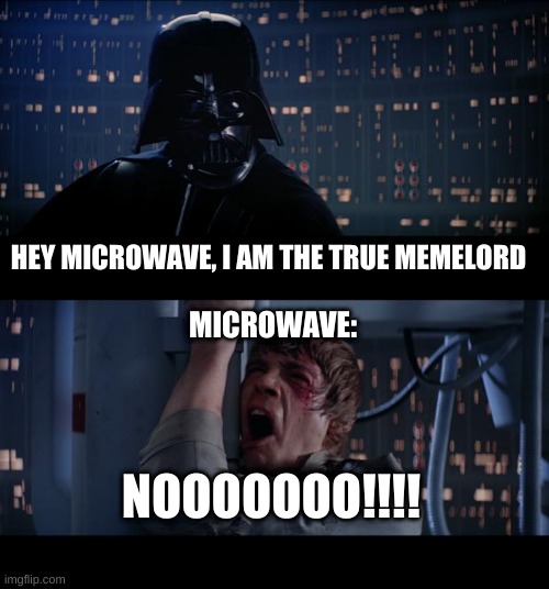 Me vs my inferior friend | HEY MICROWAVE, I AM THE TRUE MEMELORD; MICROWAVE:; NOOOOOOO!!!! | image tagged in memes,star wars no | made w/ Imgflip meme maker