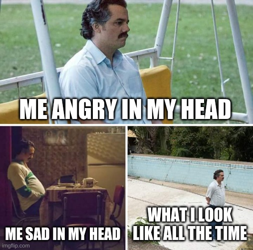 what am I | ME ANGRY IN MY HEAD; ME SAD IN MY HEAD; WHAT I LOOK LIKE ALL THE TIME | image tagged in memes,sad pablo escobar | made w/ Imgflip meme maker