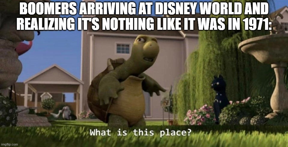 Boomer joke | BOOMERS ARRIVING AT DISNEY WORLD AND REALIZING IT'S NOTHING LIKE IT WAS IN 1971: | image tagged in what is this place,boomer | made w/ Imgflip meme maker