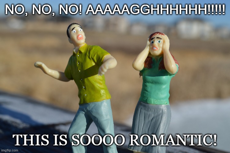 romantic horror novels | NO, NO, NO! AAAAAGGHHHHHH!!!!! THIS IS SOOOO ROMANTIC! | image tagged in scared toys | made w/ Imgflip meme maker