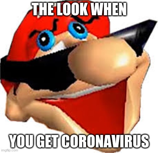 a meme for smg4 | THE LOOK WHEN; YOU GET CORONAVIRUS | image tagged in a meme | made w/ Imgflip meme maker