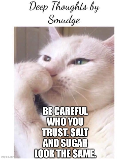 Deep thoughts | BE CAREFUL WHO YOU TRUST. SALT AND SUGAR LOOK THE SAME. | image tagged in deep-thoughts-by-smudge | made w/ Imgflip meme maker