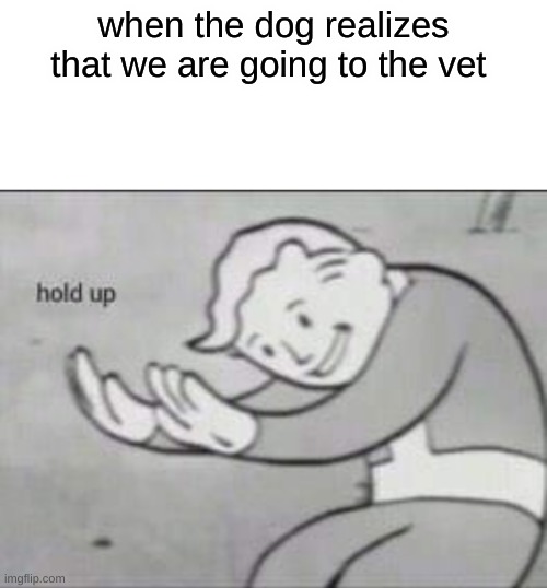Fallout hold up with space on the top | when the dog realizes that we are going to the vet | image tagged in fallout hold up with space on the top | made w/ Imgflip meme maker