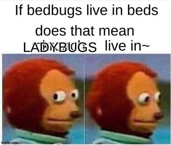 LADYBUGS | image tagged in funny | made w/ Imgflip meme maker