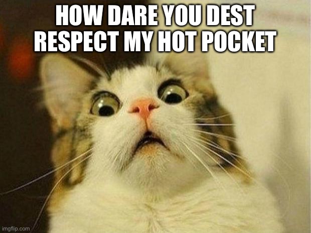 Hot | HOW DARE YOU DEST RESPECT MY HOT POCKET | image tagged in memes,scared cat | made w/ Imgflip meme maker