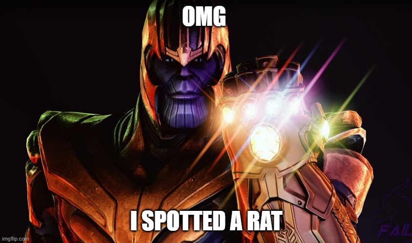 i better kill the rat | OMG; I SPOTTED A RAT | image tagged in thanos meme | made w/ Imgflip meme maker