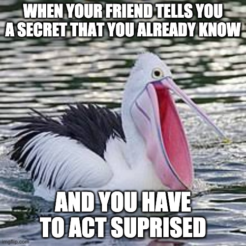 WHEN YOUR FRIEND TELLS YOU A SECRET THAT YOU ALREADY KNOW; AND YOU HAVE TO ACT SUPRISED | image tagged in memes | made w/ Imgflip meme maker