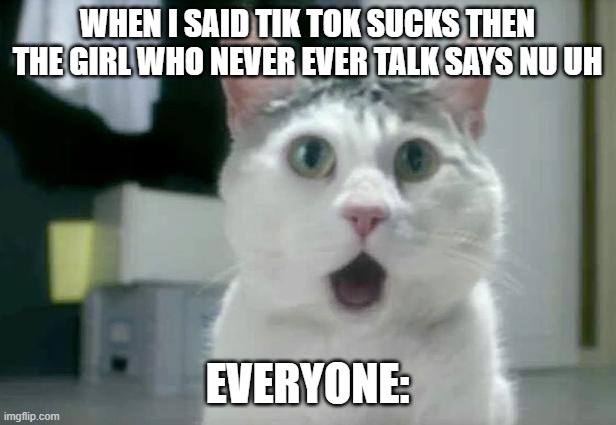 happened for real |  WHEN I SAID TIK TOK SUCKS THEN THE GIRL WHO NEVER EVER TALK SAYS NU UH; EVERYONE: | image tagged in memes,omg cat | made w/ Imgflip meme maker
