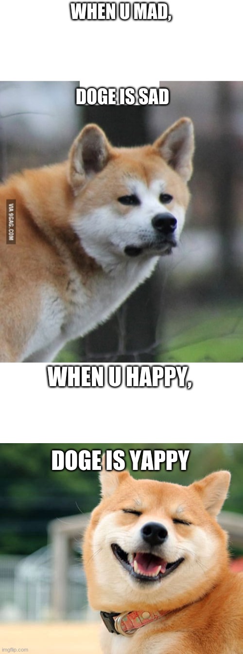 WHEN U MAD, DOGE IS SAD; WHEN U HAPPY, DOGE IS YAPPY | made w/ Imgflip meme maker