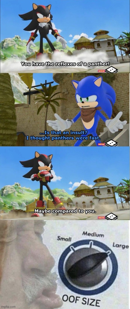 i don't know y i think thats an awesome insult | image tagged in oof size large,sonic boom,insult,shadow the hedgehog | made w/ Imgflip meme maker