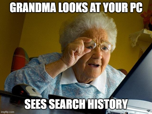 Grandma Finds The Internet Meme | GRANDMA LOOKS AT YOUR PC; SEES SEARCH HISTORY | image tagged in memes,grandma finds the internet | made w/ Imgflip meme maker