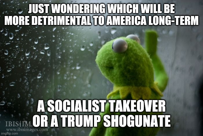 kermit window | JUST WONDERING WHICH WILL BE MORE DETRIMENTAL TO AMERICA LONG-TERM; A SOCIALIST TAKEOVER OR A TRUMP SHOGUNATE | image tagged in kermit window | made w/ Imgflip meme maker