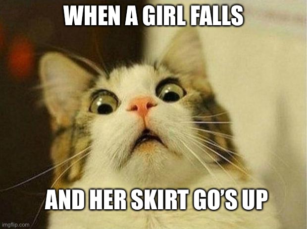 Oohhhh nnooooo | WHEN A GIRL FALLS; AND HER SKIRT GO’S UP | image tagged in memes,scared cat | made w/ Imgflip meme maker