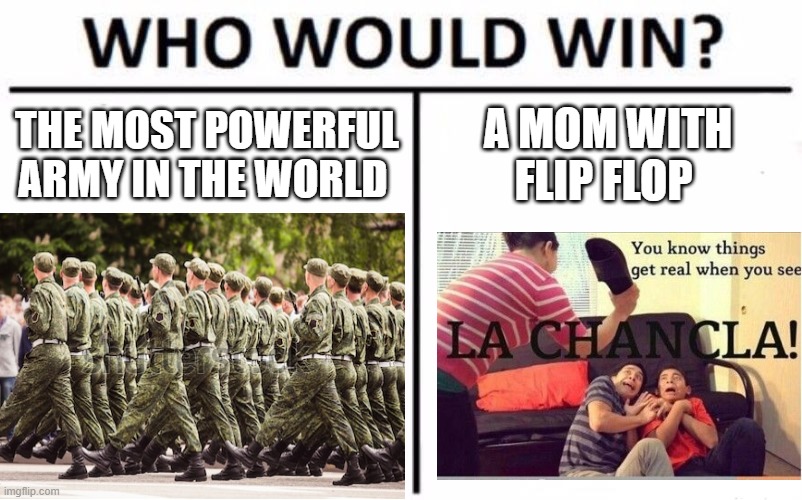 F L I P F L O P | THE MOST POWERFUL ARMY IN THE WORLD; A MOM WITH FLIP FLOP | image tagged in who would win | made w/ Imgflip meme maker