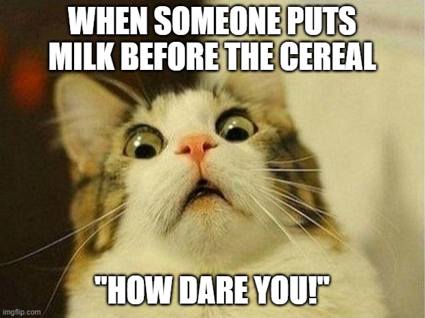 Scared Cat Meme | WHEN SOMEONE PUTS MILK BEFORE THE CEREAL; "HOW DARE YOU!" | image tagged in memes,scared cat | made w/ Imgflip meme maker