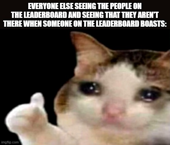 D e p r e s s i o n | EVERYONE ELSE SEEING THE PEOPLE ON THE LEADERBOARD AND SEEING THAT THEY AREN'T THERE WHEN SOMEONE ON THE LEADERBOARD BOASTS: | image tagged in sad cat thumbs up,leaderboard,sad,cat,why tho,i just want to be on the leaderboard | made w/ Imgflip meme maker