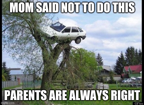 Secure Parking Meme | MOM SAID NOT TO DO THIS; PARENTS ARE ALWAYS RIGHT | image tagged in memes,secure parking | made w/ Imgflip meme maker