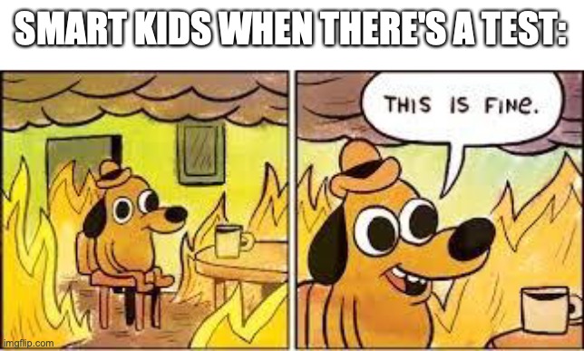 When theirs a test | SMART KIDS WHEN THERE'S A TEST: | image tagged in this is fine,test,school,school meme,high school | made w/ Imgflip meme maker