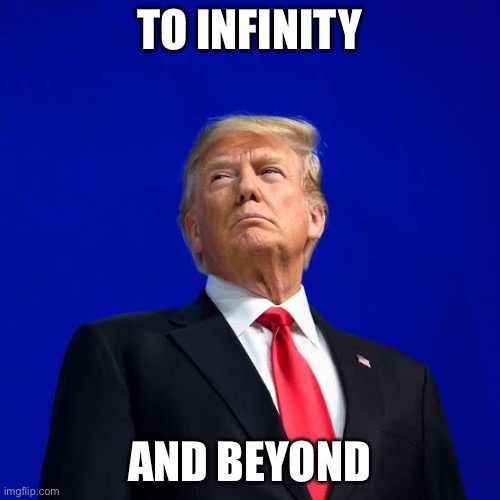 Donald light year | TO INFINITY; AND BEYOND | image tagged in memes | made w/ Imgflip meme maker