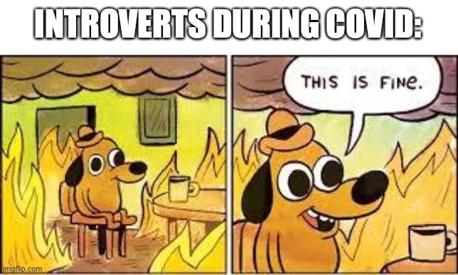 During Covid | INTROVERTS DURING COVID: | image tagged in this is fine,covid-19,covid,covid19,online school,quarantine | made w/ Imgflip meme maker