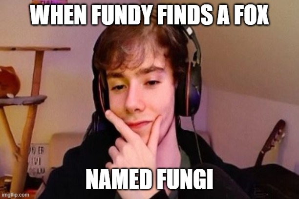fundy finds a fox | WHEN FUNDY FINDS A FOX; NAMED FUNGI | image tagged in lol so funny | made w/ Imgflip meme maker