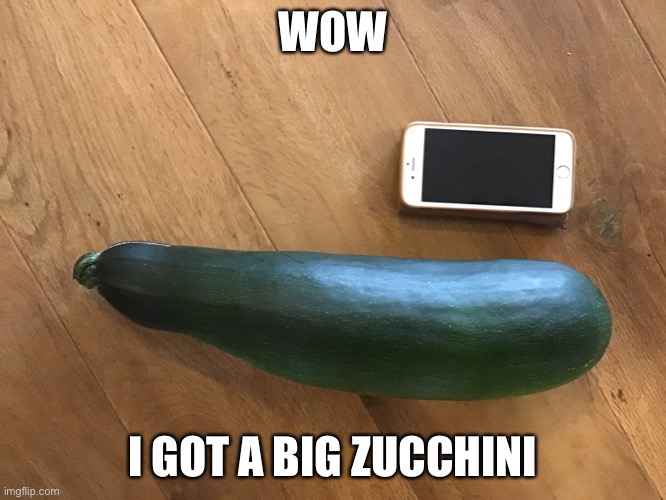 My big ZUCCHINI | WOW; I GOT A BIG ZUCCHINI | image tagged in funny memes | made w/ Imgflip meme maker