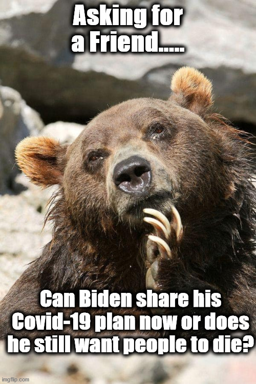 bear | Asking for a Friend..... Can Biden share his Covid-19 plan now or does he still want people to die? | image tagged in bear | made w/ Imgflip meme maker