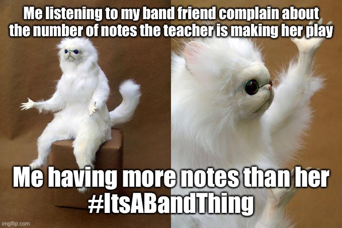 That Band Friend | Me listening to my band friend complain about the number of notes the teacher is making her play; Me having more notes than her
#ItsABandThing | image tagged in memes,persian cat room guardian,cat,cats,band,instruments | made w/ Imgflip meme maker