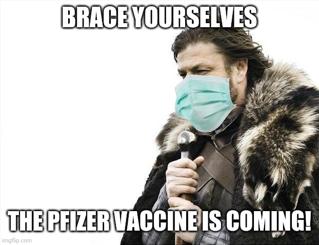 Brace Yourselves X is Coming | BRACE YOURSELVES; THE PFIZER VACCINE IS COMING! | image tagged in memes,brace yourselves x is coming,coronavirus,covid-19,vaccines | made w/ Imgflip meme maker