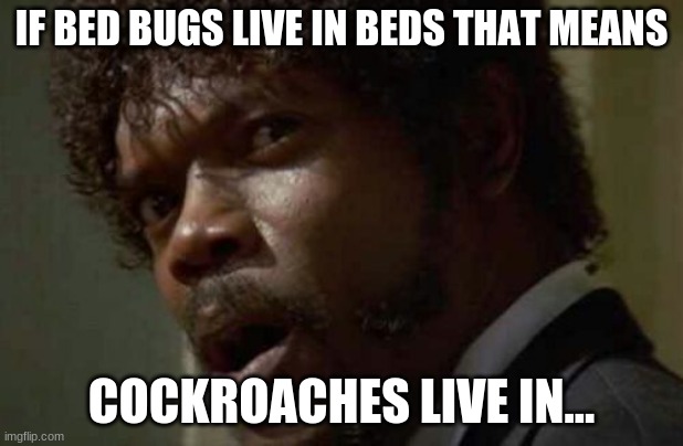 bruh |  IF BED BUGS LIVE IN BEDS THAT MEANS; COCKROACHES LIVE IN... | image tagged in memes,samuel jackson glance | made w/ Imgflip meme maker