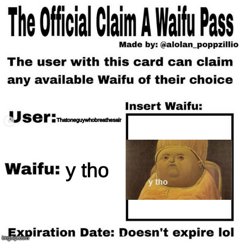 y tho | Thatoneguywhobreathesair; y tho | image tagged in official claim a waifu pass | made w/ Imgflip meme maker