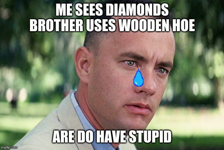 And Just Like That | ME SEES DIAMONDS BROTHER USES WOODEN HOE; ARE DO HAVE STUPID | image tagged in memes,and just like that | made w/ Imgflip meme maker