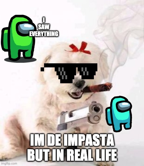 Dog with gun | I SAW EVERYTHING; IM DE IMPASTA BUT IN REAL LIFE | image tagged in dog with gun | made w/ Imgflip meme maker