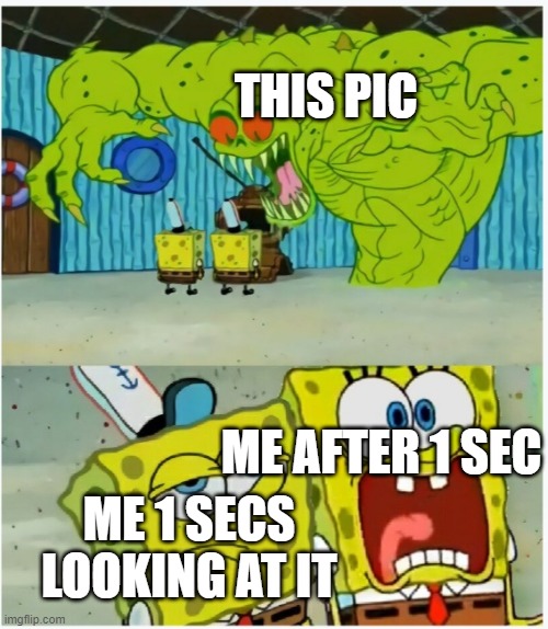 SpongeBob SquarePants scared but also not scared | THIS PIC ME 1 SECS LOOKING AT IT ME AFTER 1 SEC | image tagged in spongebob squarepants scared but also not scared | made w/ Imgflip meme maker